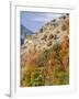 USA, Utah. Fall color with aspens along Logan Canyon.-Julie Eggers-Framed Photographic Print