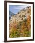 USA, Utah. Fall color with aspens along Logan Canyon.-Julie Eggers-Framed Photographic Print