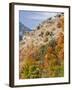 USA, Utah. Fall color with aspens along Logan Canyon.-Julie Eggers-Framed Photographic Print