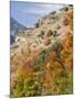 USA, Utah. Fall color with aspens along Logan Canyon.-Julie Eggers-Mounted Photographic Print