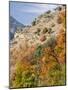 USA, Utah. Fall color with aspens along Logan Canyon.-Julie Eggers-Mounted Photographic Print