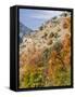 USA, Utah. Fall color with aspens along Logan Canyon.-Julie Eggers-Framed Stretched Canvas