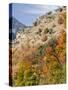 USA, Utah. Fall color with aspens along Logan Canyon.-Julie Eggers-Stretched Canvas