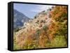 USA, Utah. Fall color with aspens along Logan Canyon.-Julie Eggers-Framed Stretched Canvas