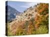 USA, Utah. Fall color with aspens along Logan Canyon.-Julie Eggers-Stretched Canvas