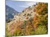 USA, Utah. Fall color with aspens along Logan Canyon.-Julie Eggers-Mounted Photographic Print