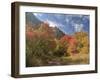 USA, Utah. Fall color with aspens along Logan Canyon.-Julie Eggers-Framed Photographic Print