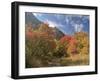 USA, Utah. Fall color with aspens along Logan Canyon.-Julie Eggers-Framed Photographic Print