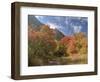 USA, Utah. Fall color with aspens along Logan Canyon.-Julie Eggers-Framed Photographic Print