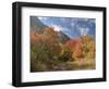 USA, Utah. Fall color with aspens along Logan Canyon.-Julie Eggers-Framed Photographic Print