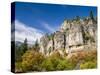 USA, Utah. Fall color with aspens along Logan Canyon.-Julie Eggers-Stretched Canvas