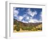 USA, Utah. Fall color with aspens along Logan Canyon.-Julie Eggers-Framed Photographic Print