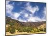 USA, Utah. Fall color with aspens along Logan Canyon.-Julie Eggers-Mounted Photographic Print