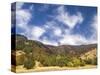 USA, Utah. Fall color with aspens along Logan Canyon.-Julie Eggers-Stretched Canvas