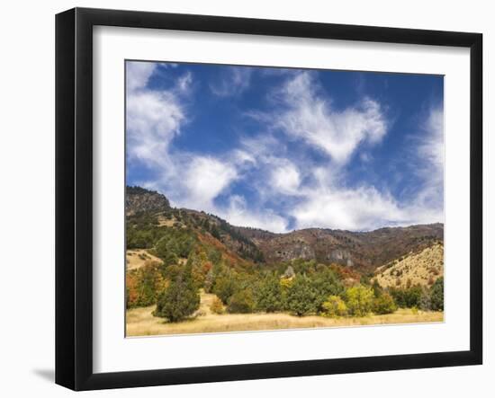 USA, Utah. Fall color with aspens along Logan Canyon.-Julie Eggers-Framed Photographic Print