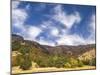 USA, Utah. Fall color with aspens along Logan Canyon.-Julie Eggers-Mounted Photographic Print