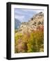 USA, Utah. Fall color with aspens along Logan Canyon.-Julie Eggers-Framed Photographic Print