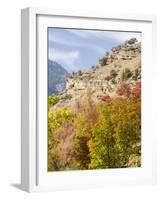 USA, Utah. Fall color with aspens along Logan Canyon.-Julie Eggers-Framed Photographic Print