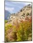 USA, Utah. Fall color with aspens along Logan Canyon.-Julie Eggers-Mounted Photographic Print