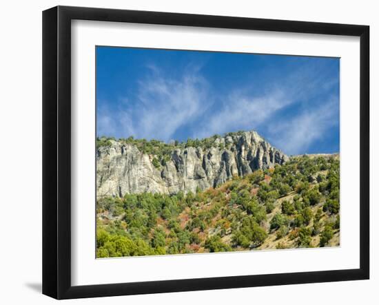 USA, Utah. Fall color with aspens along Logan Canyon.-Julie Eggers-Framed Photographic Print