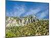 USA, Utah. Fall color with aspens along Logan Canyon.-Julie Eggers-Mounted Photographic Print