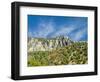 USA, Utah. Fall color with aspens along Logan Canyon.-Julie Eggers-Framed Photographic Print