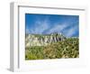 USA, Utah. Fall color with aspens along Logan Canyon.-Julie Eggers-Framed Photographic Print