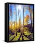 USA, Utah, Fall Colors of Aspen Trees-Jaynes Gallery-Framed Stretched Canvas