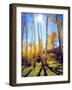 USA, Utah, Fall Colors of Aspen Trees-Jaynes Gallery-Framed Photographic Print