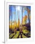 USA, Utah, Fall Colors of Aspen Trees-Jaynes Gallery-Framed Photographic Print