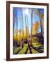 USA, Utah, Fall Colors of Aspen Trees-Jaynes Gallery-Framed Photographic Print