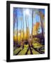 USA, Utah, Fall Colors of Aspen Trees-Jaynes Gallery-Framed Photographic Print