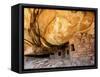 USA, Utah, Fallen Roof Ruin Cliff Dwelling-Mark Sykes-Framed Stretched Canvas