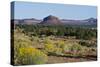 USA, Utah. Fry Canyon, Cheese Box Butte-Bernard Friel-Stretched Canvas