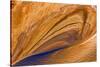 USA, Utah, Glen Canyon Nra. Abstract Cliff Reflection in Lake Powell-Jaynes Gallery-Stretched Canvas