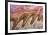 USA, Utah, Glen Canyon Nra. Abstract Cliff Reflection in Lake Powell-Jaynes Gallery-Framed Photographic Print