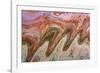 USA, Utah, Glen Canyon Nra. Abstract Cliff Reflection in Lake Powell-Jaynes Gallery-Framed Photographic Print