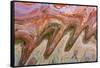 USA, Utah, Glen Canyon Nra. Abstract Cliff Reflection in Lake Powell-Jaynes Gallery-Framed Stretched Canvas