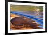 USA, Utah, Glen Canyon Nra. Abstract Cliff Reflection in Lake Powell-Jaynes Gallery-Framed Photographic Print