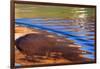 USA, Utah, Glen Canyon Nra. Abstract Cliff Reflection in Lake Powell-Jaynes Gallery-Framed Photographic Print