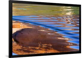 USA, Utah, Glen Canyon Nra. Abstract Cliff Reflection in Lake Powell-Jaynes Gallery-Framed Photographic Print