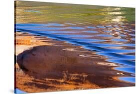 USA, Utah, Glen Canyon Nra. Abstract Cliff Reflection in Lake Powell-Jaynes Gallery-Stretched Canvas