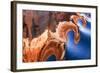 USA, Utah, Glen Canyon Nra. Abstract Cliff Reflection in Lake Powell-Jaynes Gallery-Framed Photographic Print