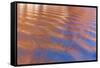 USA, Utah, Glen Canyon Nra. Abstract Cliff Reflection in Lake Powell-Jaynes Gallery-Framed Stretched Canvas