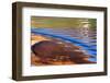 USA, Utah, Glen Canyon Nra. Abstract Cliff Reflection in Lake Powell-Jaynes Gallery-Framed Photographic Print