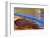 USA, Utah, Glen Canyon Nra. Abstract Cliff Reflection in Lake Powell-Jaynes Gallery-Framed Photographic Print