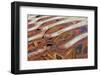 USA, Utah, Glen Canyon Nra. Abstract Cliff Reflection in Lake Powell-Jaynes Gallery-Framed Photographic Print