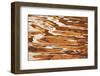 USA, Utah, Glen Canyon Nra. Abstract Cliff Reflection in Lake Powell-Jaynes Gallery-Framed Photographic Print