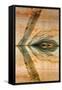 USA, Utah, Glen Canyon Nra. Abstract Reflection of Sandstone Wall-Jaynes Gallery-Framed Stretched Canvas