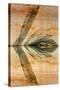USA, Utah, Glen Canyon Nra. Abstract Reflection of Sandstone Wall-Jaynes Gallery-Stretched Canvas